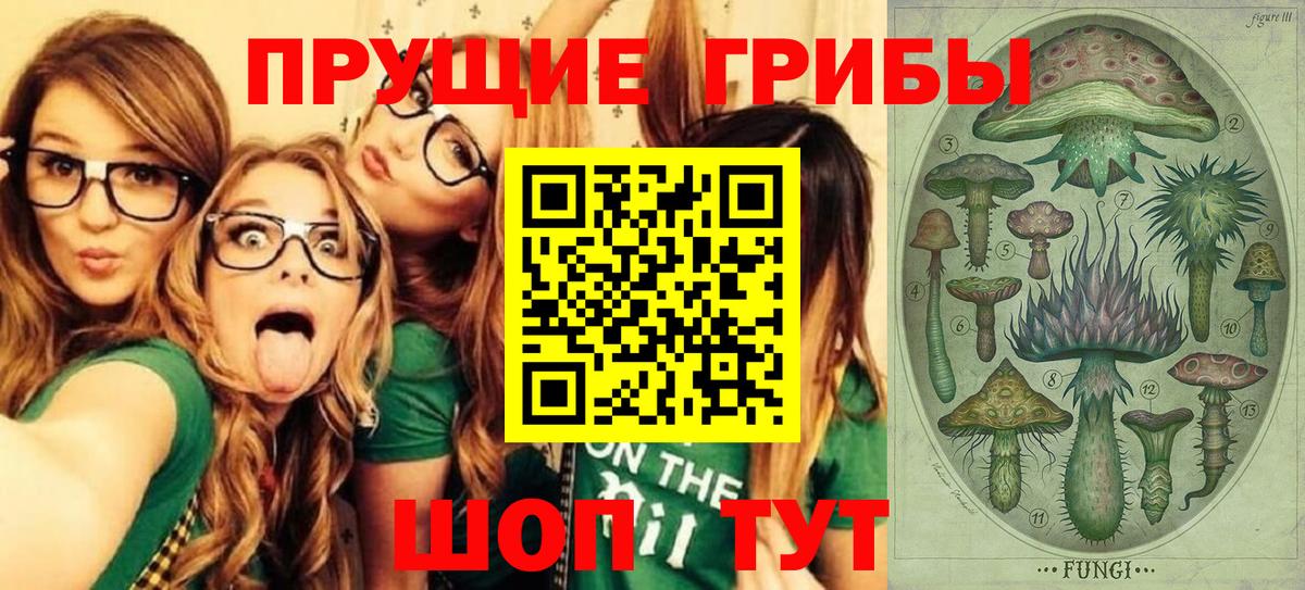 Сатка  Псилоцибиновые грибы мицелий  Вход с VPN 